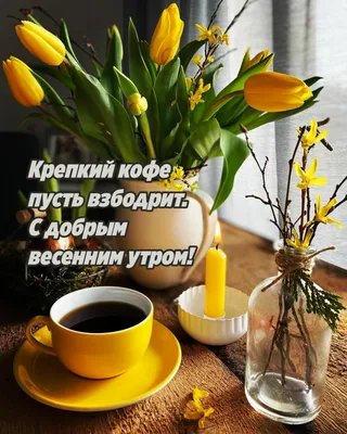 С добрым субботним утром! Прекрасного дня, весеннего настроения! #сдоб... |  TikTok