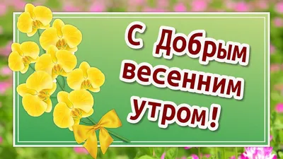 Красивые картинки \"Доброе весеннее утро!\" (258 шт.)