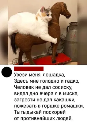 Memes by Artella Футболка с фразами мем / Смешные фразы