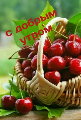 Доброе утро! 💝 | Fruit, Fresh cherries, Cherry