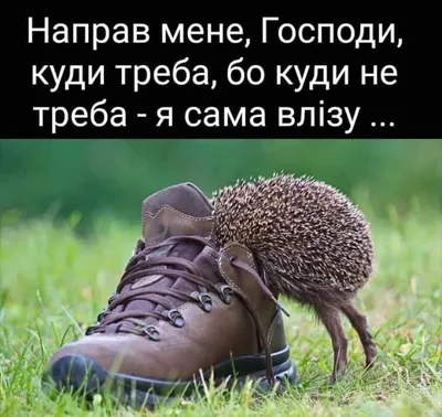 О со смыслом 🤔😂😂😂👏👽 #мемы #юмор #приколы #мемы2021#мемы #юмор  #приколы #мемы2021 #мемы #юмор #приколы #мемы2021 #мемы #юмор #приколы  #мемы… | Instagram