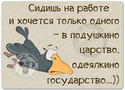 Слова со смыслом|Женский Юмор, Статусы, Цитаты | Юмор о работе,  Юмористические цитаты, Смешные высказывания