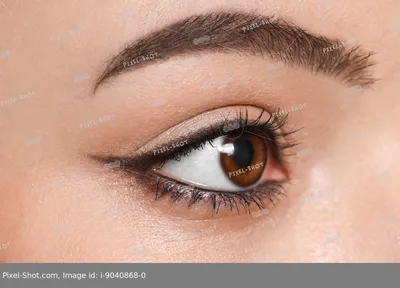 Конец на снимке карими глазами женщины с коричневыми глазами Стоковое Фото  - изображение насчитывающей повелительница, состав: 210186490