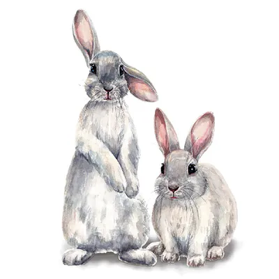 Раскраски с Кроликами и Зайцами на Новый год 2023 | Раскраски, Бесплатные  раскраски, Кролик