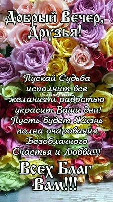 Приглашаем вас отпраздновать настоящий праздник любви, семьи и верности! -  Мой-Новороссийск.рф