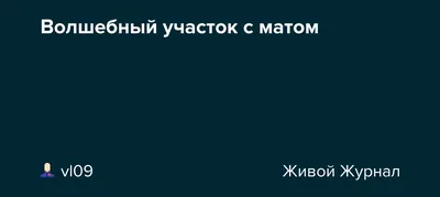 Натяжной потолок с заполнением звукопоглощающими матами Шуманет-Термо ЭКО