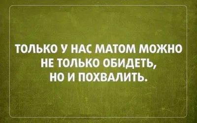 Борцовский ковер 6х6 м (с матами НПЭ 40мм) (id 63249190), купить в  Казахстане, цена на Satu.kz