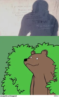 Медведь из кустов (Mr. Bald) - Coub - The Biggest Video Meme Platform