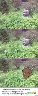 разъяренная медведица нашла в кустах младенца | googleadwords К. | Дзен
