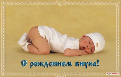 Под Волгоградом женщина с новорожденным внуком на руках упала в траншею -  KP.RU