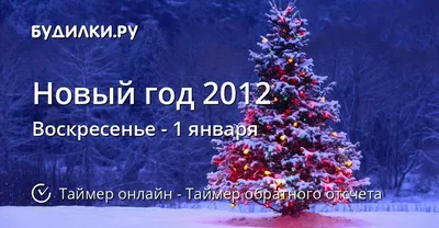 С Новым 2012 годом!