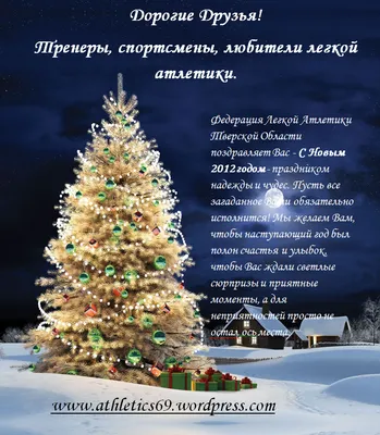 С Новым годом 2012 | Полярный.net