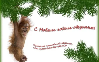 Обои новый год, обезьяна, пожелание, new year, monkey для рабочего стола  #105349