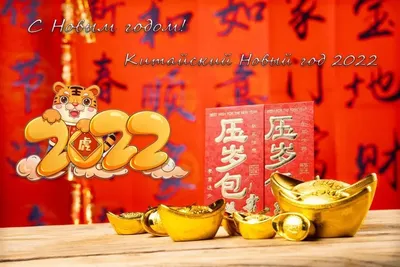 С наступающим китайским Новым годом ! 鼠年快乐！