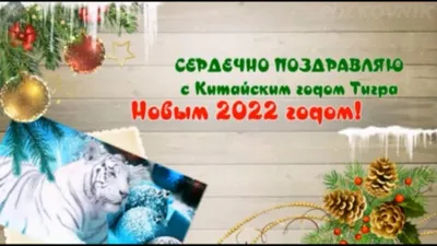 Новый год 2024: прикольные и эксклюзивные открытки к празднику - МК  Красноярск