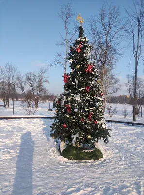 С Новым годом🎄 ⠀ Компания Контакт поздравляет каждого клиента и подписчика  с самым волшебным праздником! Пусть в 2024 в вашей жизни… | Instagram