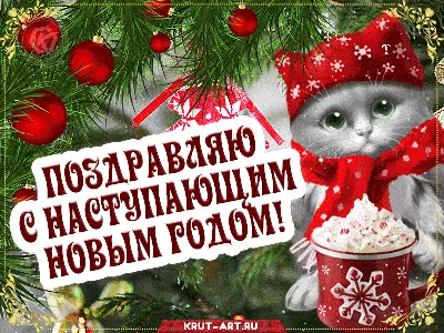 С наступающим Новым годом!!!