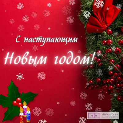 Поздравление с Новым годом! - Новая Медицина