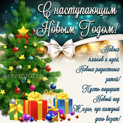 ПОЗДРАВЛЕНИЕ ДИРЕКТОРА С НОВЫМ ГОДОМ » БПФ ГОУ «ПГУ им. Т.Г. Шевченко» -  Официальный сайт