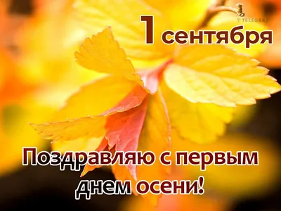 С первым днем осени — открытки, стихи, картинки на 1 сентября — какой  сегодня праздник / NV