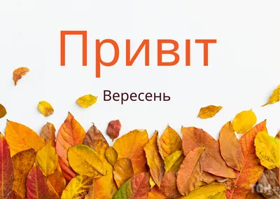 С первым днём осени! С Днём знаний! С началом учебного года! - НовДента