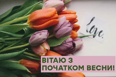 25 необычных картинок «С Первым днем весны!» – Блог Canva