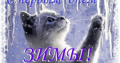 Открытка \"Поздравляю с первым днем зимы!\", скачать бесплатно