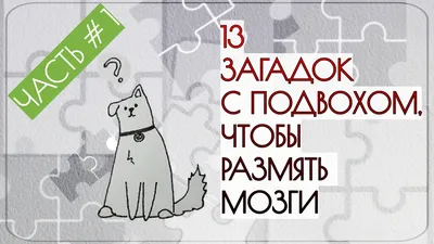 6 интересных и увлекательных загадок на логику с подвохом. | Игорь Умный |  Дзен