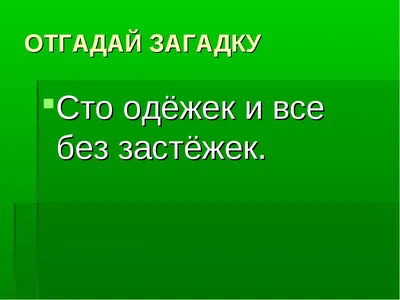 202 загадки с подвохом с ответами смешные для детей и взрослых