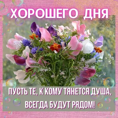 С добрым утром!#видеооткрытка #открыткасдобрымутром#открытка #рекоменд... |  TikTok