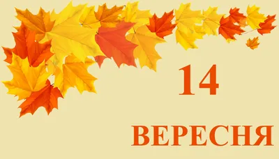 22 ноября: какой сегодня праздник, приметы и запреты - Главком