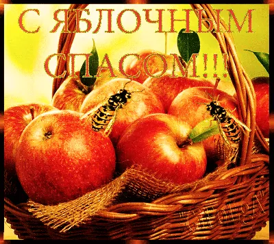 Яблочный Спас — картинки, открытки, поздравления — 19 августа праздник  Преображение Господне / NV