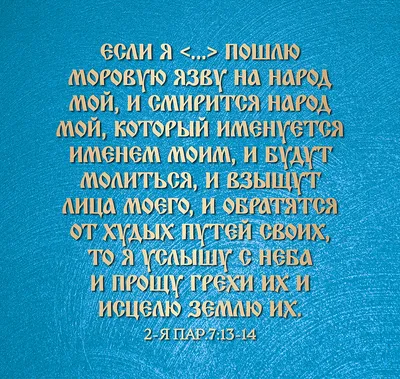 С прошением об убежище в Европу в этом году обратилось на 54% больше людей,  чем в 2021 г. | SM NEWS | Дзен