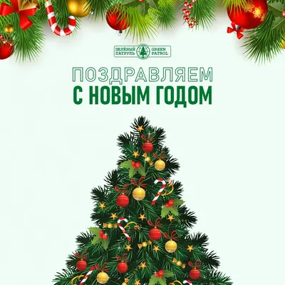 https://athletics.by/s-novym-2024-godom-i-rozhdestvom/