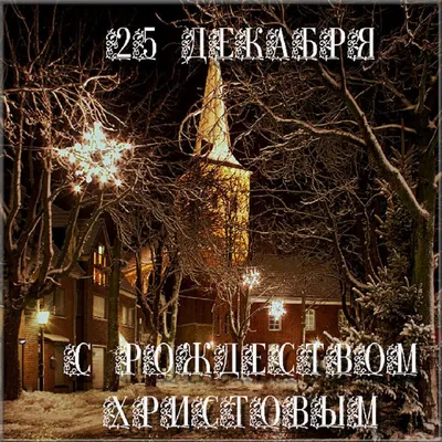 Всех поздравляем с католическим Рождеством!❄🎄❄✨💜❤💜 Пусть в вашем дома  будет тепло, уют, спокойствие и улыбки.🙂 С праздником!!!! Ваш… | Instagram