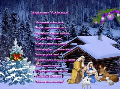 Поздравление с католическим Рождеством Христовым от Александра Кононовича |  Новости Гомеля