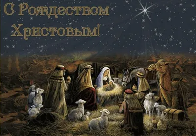 C наступающим Новым Годом и Рождеством Христовым! - КРИЗИСНЫЙ ЦЕНТР «С  ВЕРОЙ В ЖИЗНЬ!»