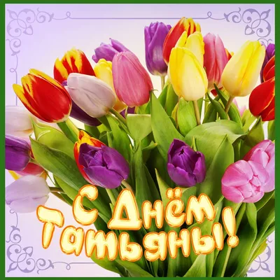 25 января - Всероссийский день студента, Татьянин день! :: Петрозаводский  государственный университет