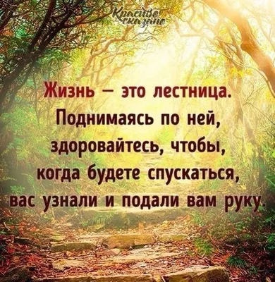 120 цитат про жизнь, которые помогут вдохновиться и задуматься