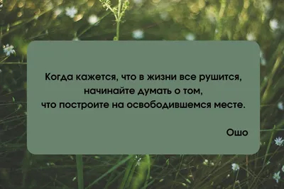 Жизнь без любви не имеет смысла; Любовь — вода жизни, Пей же её и сердцем,  и душой. - Джалаледдин Руми #любовь… | Удивительные цитаты, Цитаты руми,  Правдивые цитаты