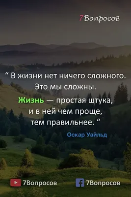 Цитаты про жизнь со смыслом. | Цитаты, Мудрые цитаты, Мудрые слова