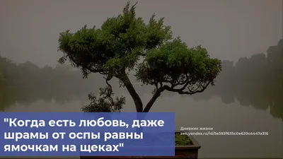 Пин от пользователя София на доске Цитаты, умные мысли | Вдохновляющие фразы,  Вдохновляющие высказывания, Правдивые цитаты