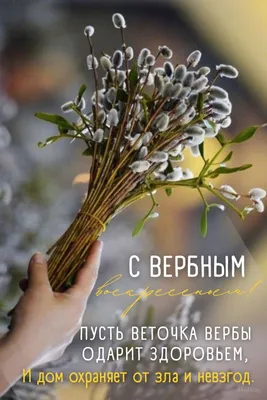 Сегодня начинается Вербная неделя. Что нельзя делать до самой Пасхи |  Українські Новини