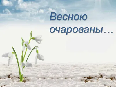 З початком весни/ привітання з весною #звесною #привітанняпобажання #в... |  TikTok