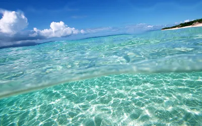 Под водой обои для рабочего стола, картинки Под водой, фотографии Под водой,  фото Под водой скачать бесплатно | FreeOboi.Ru