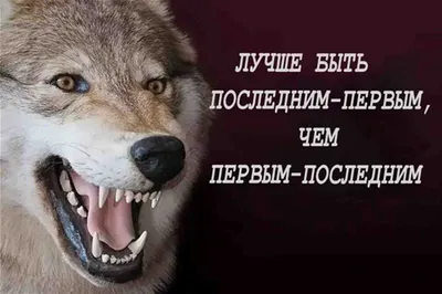 Пин от пользователя Андрей. на доске Будем знать. | Новые цитаты, Семейные  цитаты, Жизненные поговорки