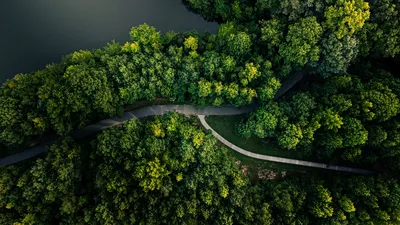 Картина маслом \"Москва как на ладони. Вид на город с высоты птичьего полёта\"  60x90 SK211128 купить в Москве