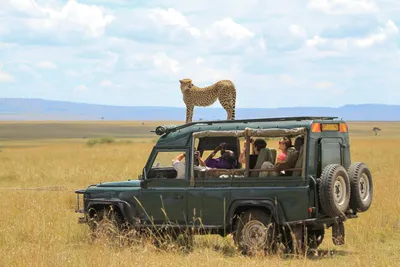With Safari Tourism on Hold, Locals and Animals Are at Risk | Condé Nast  Traveler