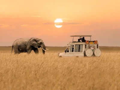 Everything You Thought You Knew About Safari Is Wrong | Condé Nast Traveler
