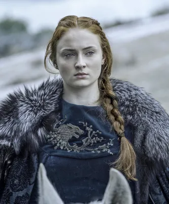 File:Sansa clip.JPG - Wikipedia